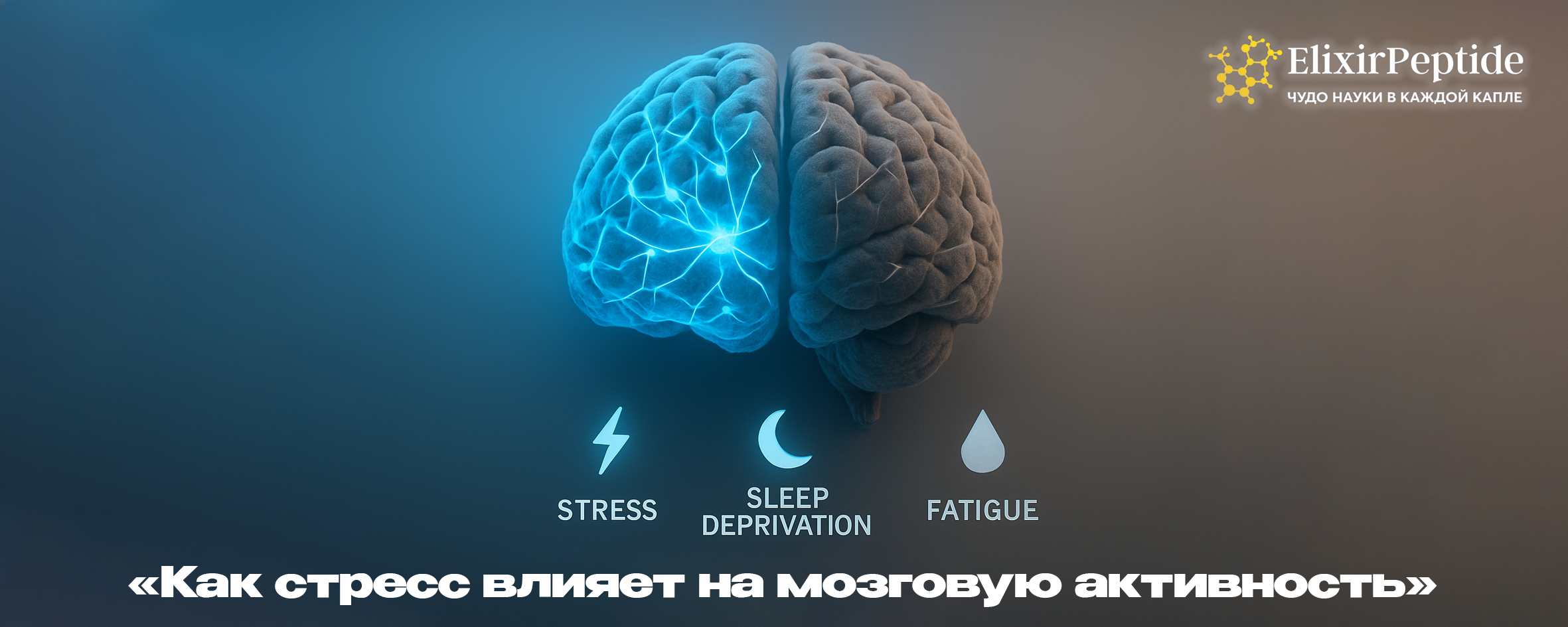 Как стресс влияет на мозговую активность